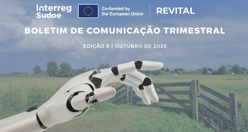 Capa Newsletter Revital 6